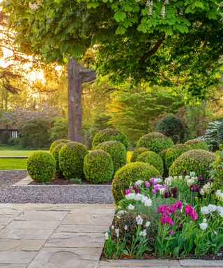 ways this spring garden wows with color
