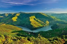 Symington douro winery, douro valley