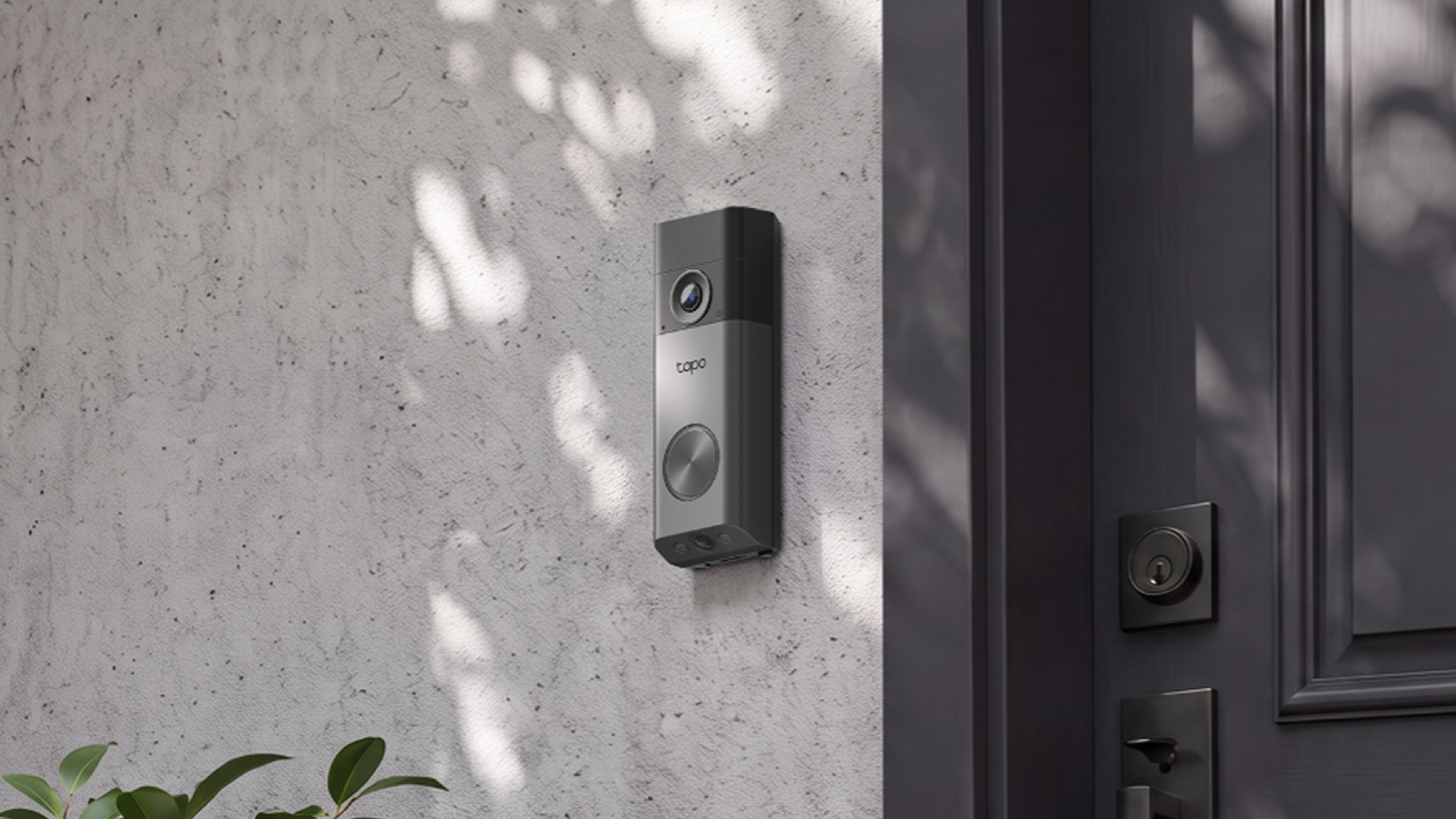 Tapo D260 security camera mounted next to a front door
