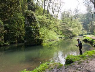 River Dove fishing for sale