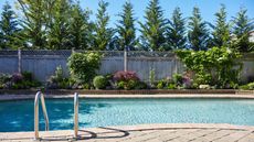 Pool with planting in the background