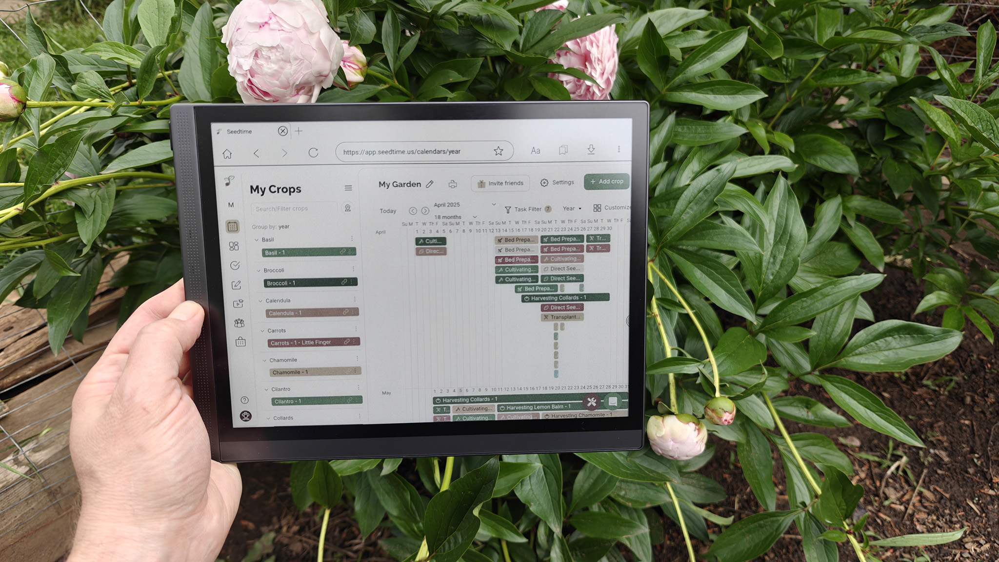 The seedtime app running on a BigMe B1051C color E Ink tablet