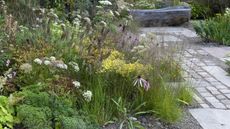 A drought-resistant flower bed planted with milk parsley, coneflowers, Japanese anemones, fountain grasses, and asters.