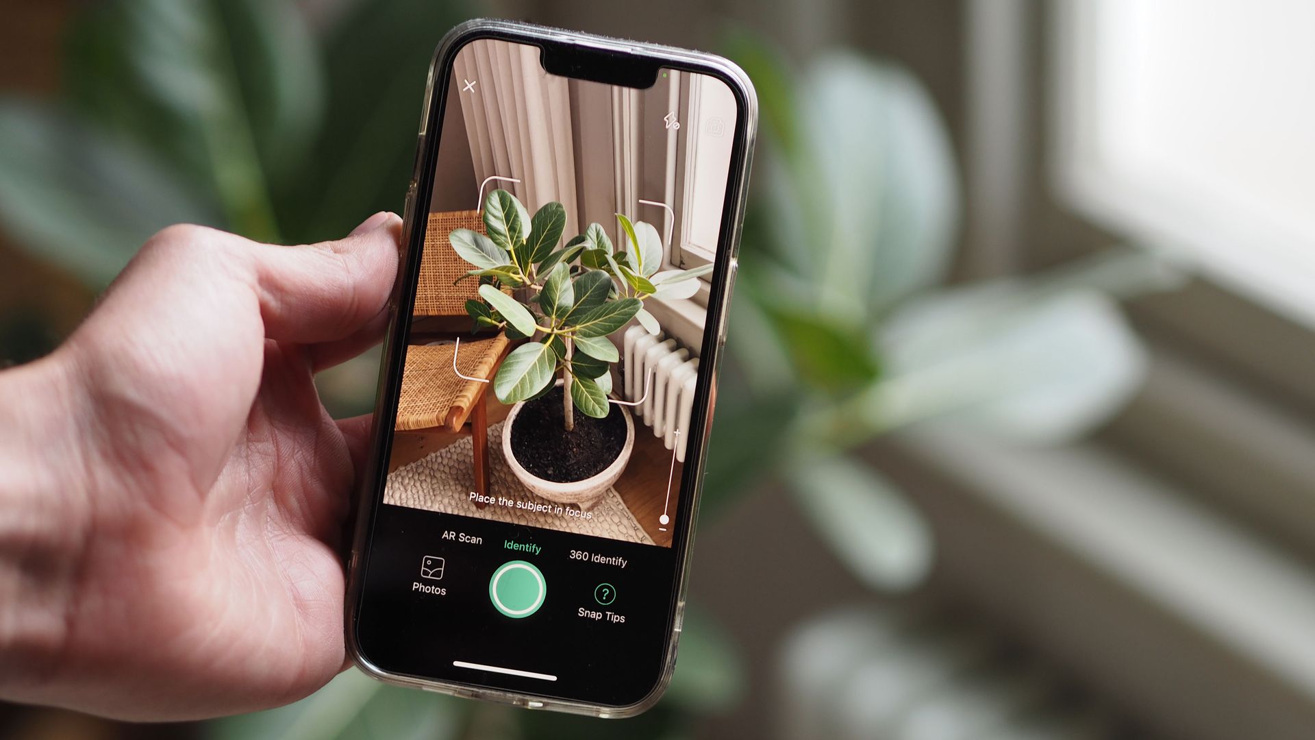 Best plant identifier apps to help keep your plants healthy Livingetc