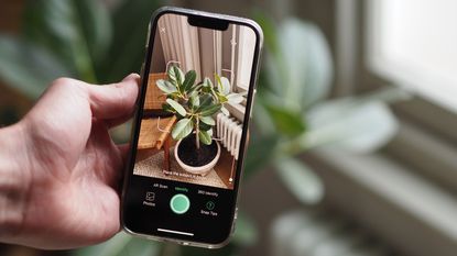 a plant identifier app showing a houseplant