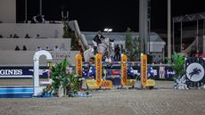 Pictured Swedish Olympic showjumper Rolf-G&ouml;ran Bengtsson and his Paris Olympic ride Zuccero HV.