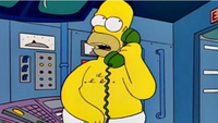 Homer Simpson (The Simpsons)
