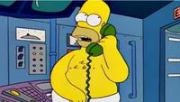 Homer Simpson (The Simpsons)