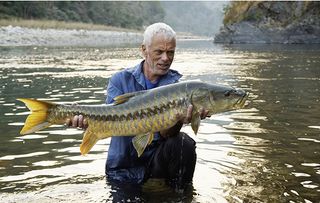 Jeremy Wade with a Mahseer