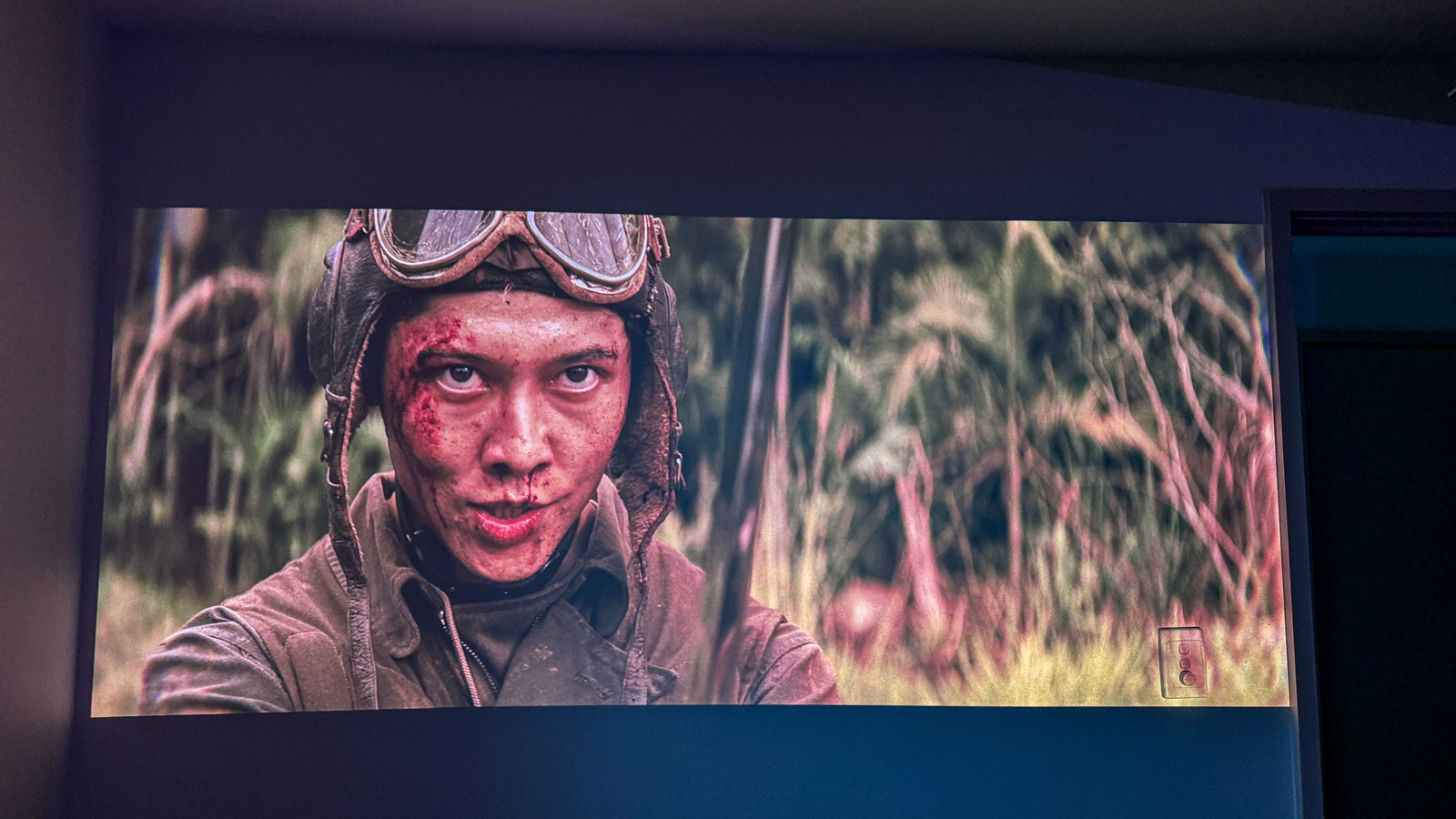 A scene from Kong Skull Island projected onto a wall.