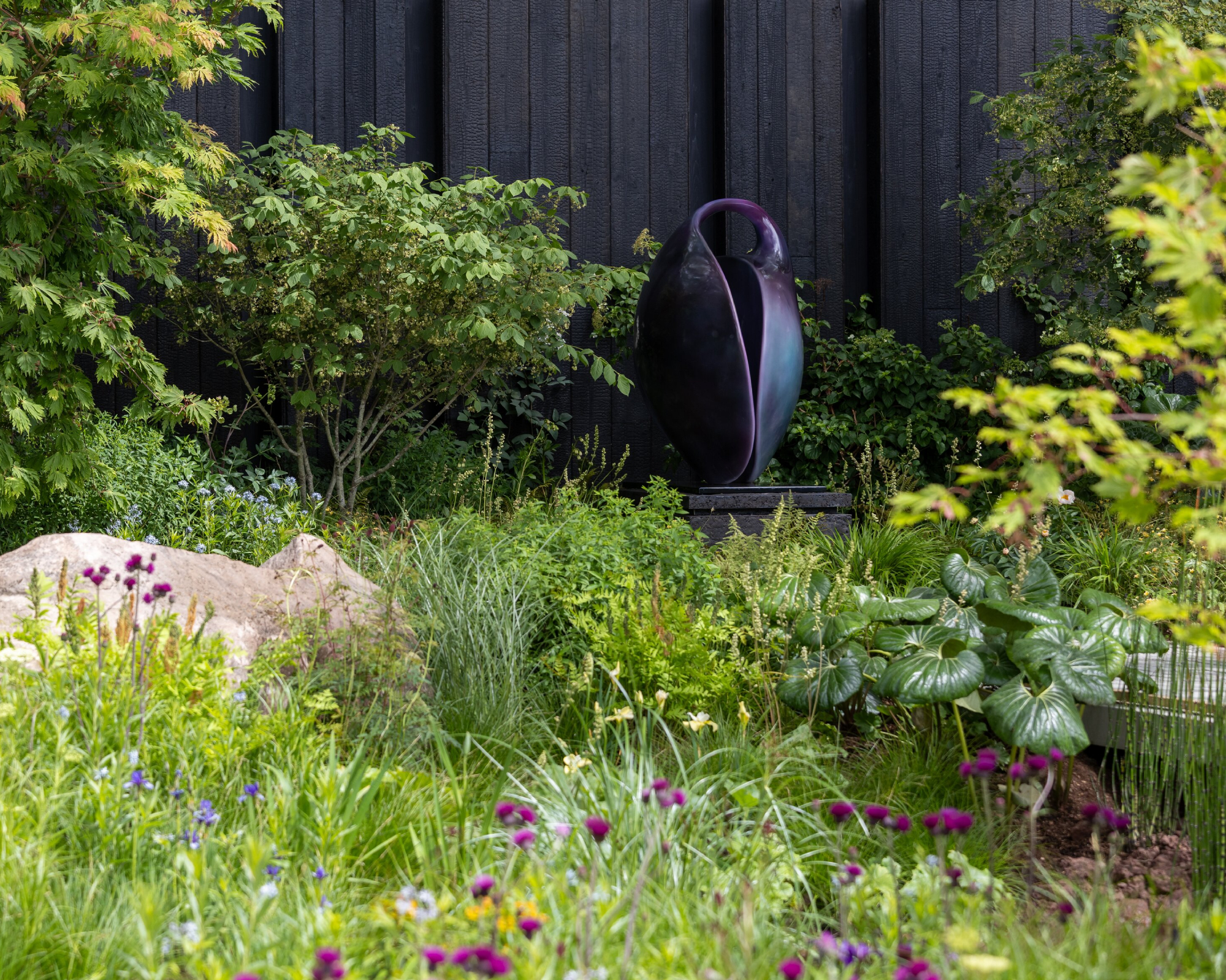 array of green foliage at RHS Chelsea Show Garden 2026