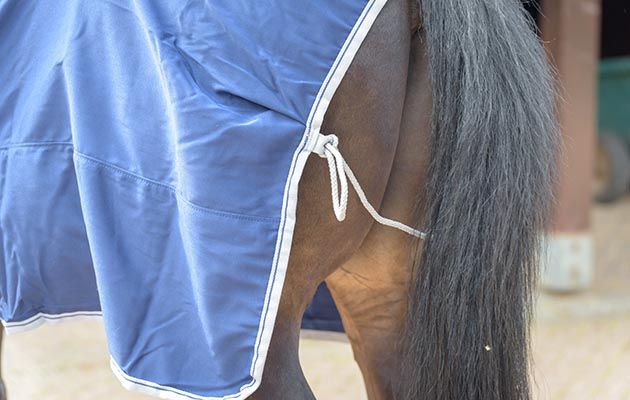 Bucas Freedom Twill Sheet review
