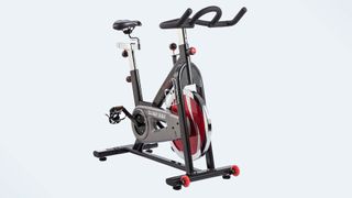 Sunny Health & Fitness Indoor Cycle Bike from the front