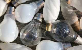 Old-fashioned light bulbs