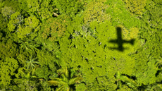 Aerial shot of a lush rain forest with the shadow of a plane over it.