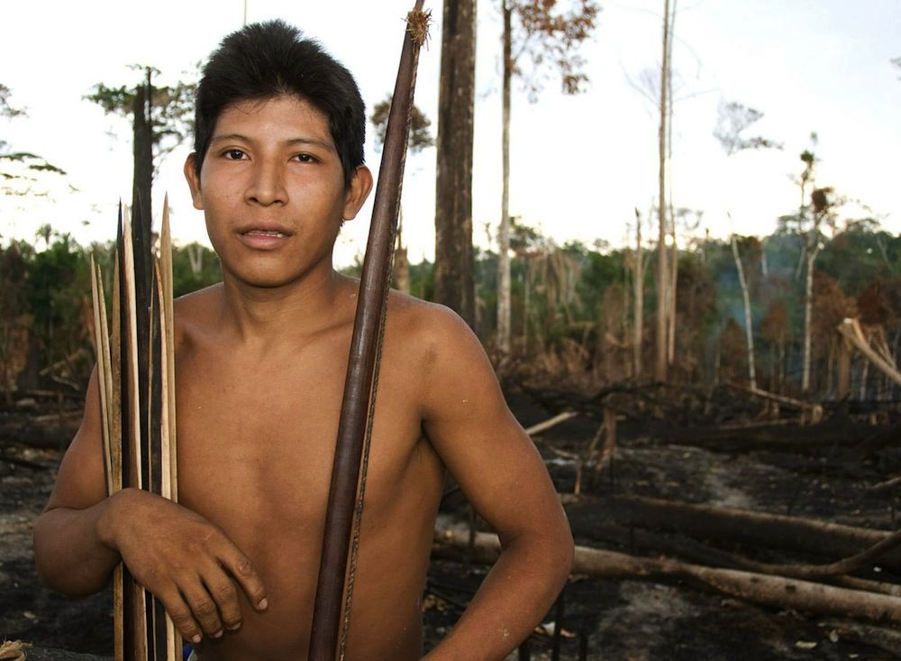 Awa tribesman standing in burnt-out forest.