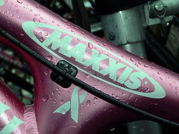Lawyer and the rest of Team Maxxis aren't the only ones that benefit when they do well. Each time the team reaches the podium, the rider, the team, and the team's sponsors all donate money to Project Pink, an organization originally started by Ellsworth employee David Weisenteiner to help find a cure for breast cancer.