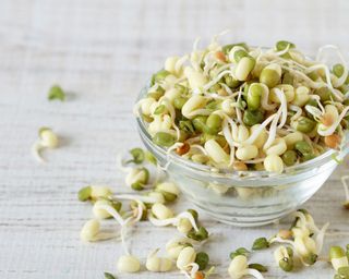 glass bowl filled with sprouted mung beans