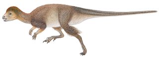 artist's reconstruction of plant-eating dinosaur Kulindadromeus zabaikalicus.