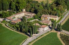 Masi estate, Masi wine