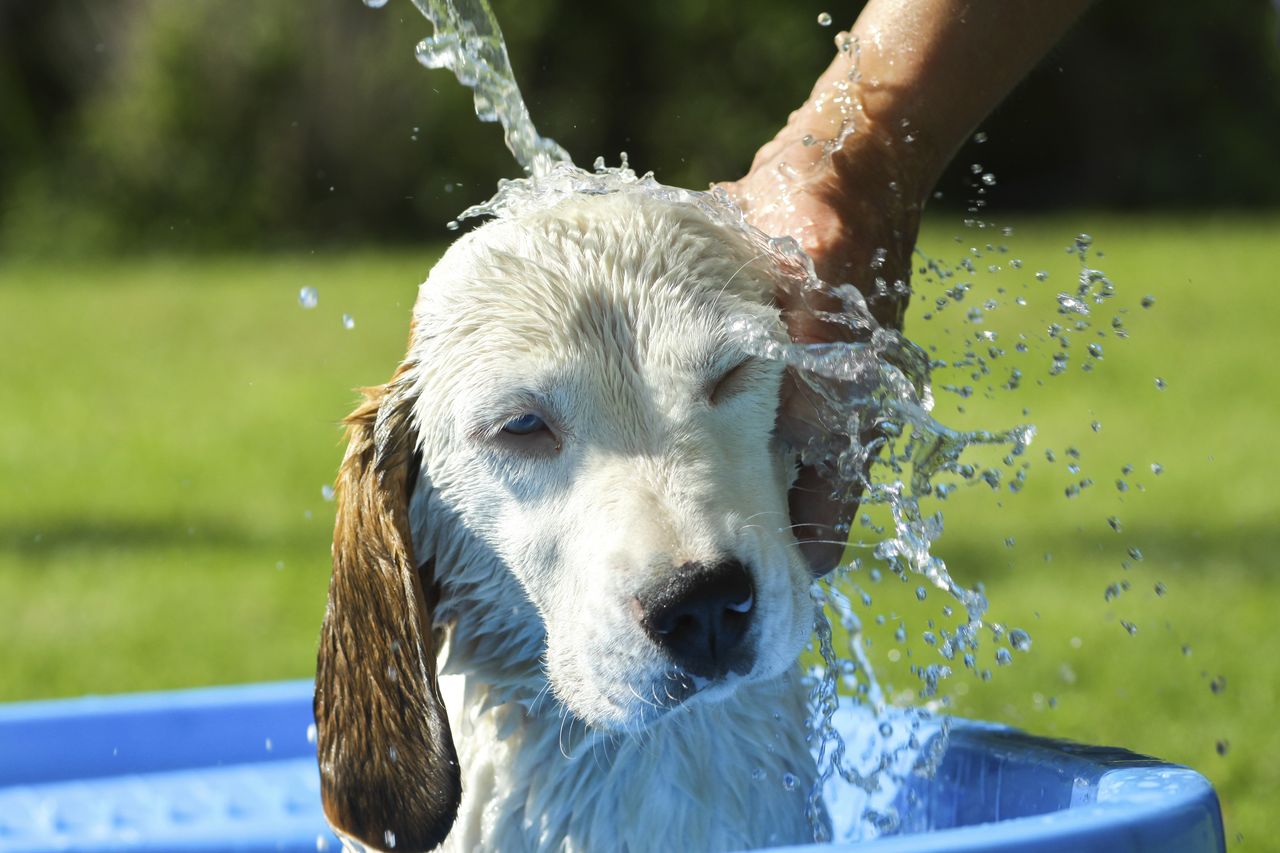 Staying cool this summer will be a breeze.