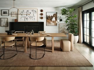 Brown rug in a modern dining room