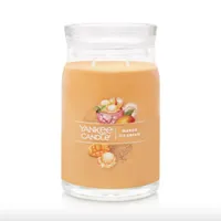 Mango Ice Cream Signature Large Jar candle
RRP: $31, $18.60 | Yankee Candle
