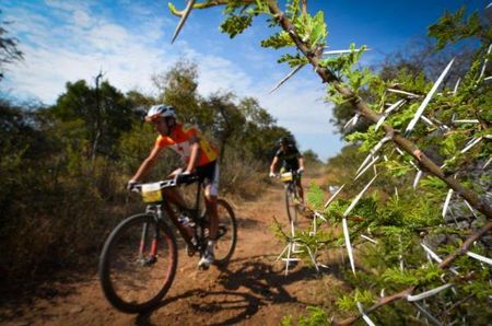 Max Knox leads David George through some thicket