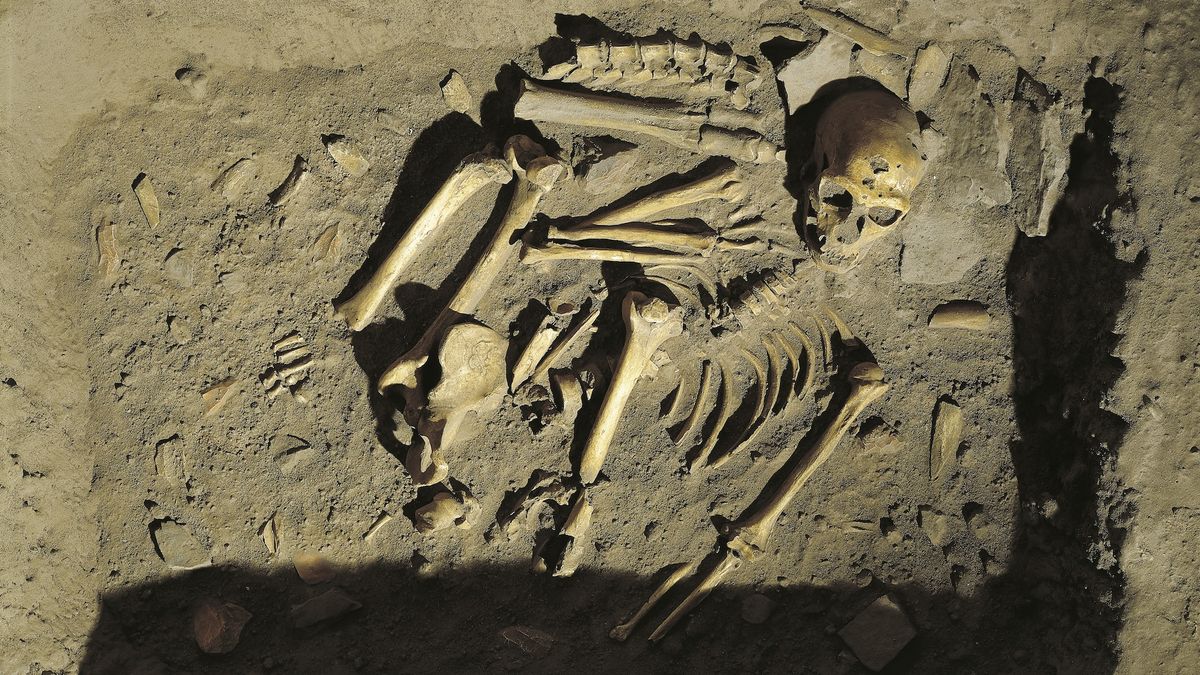 Neanderthals and early Homo sapiens buried their useless another way, find out about suggests