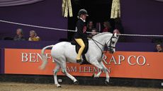 COCO-BONGO_HOYS_PN19_157644.jpg