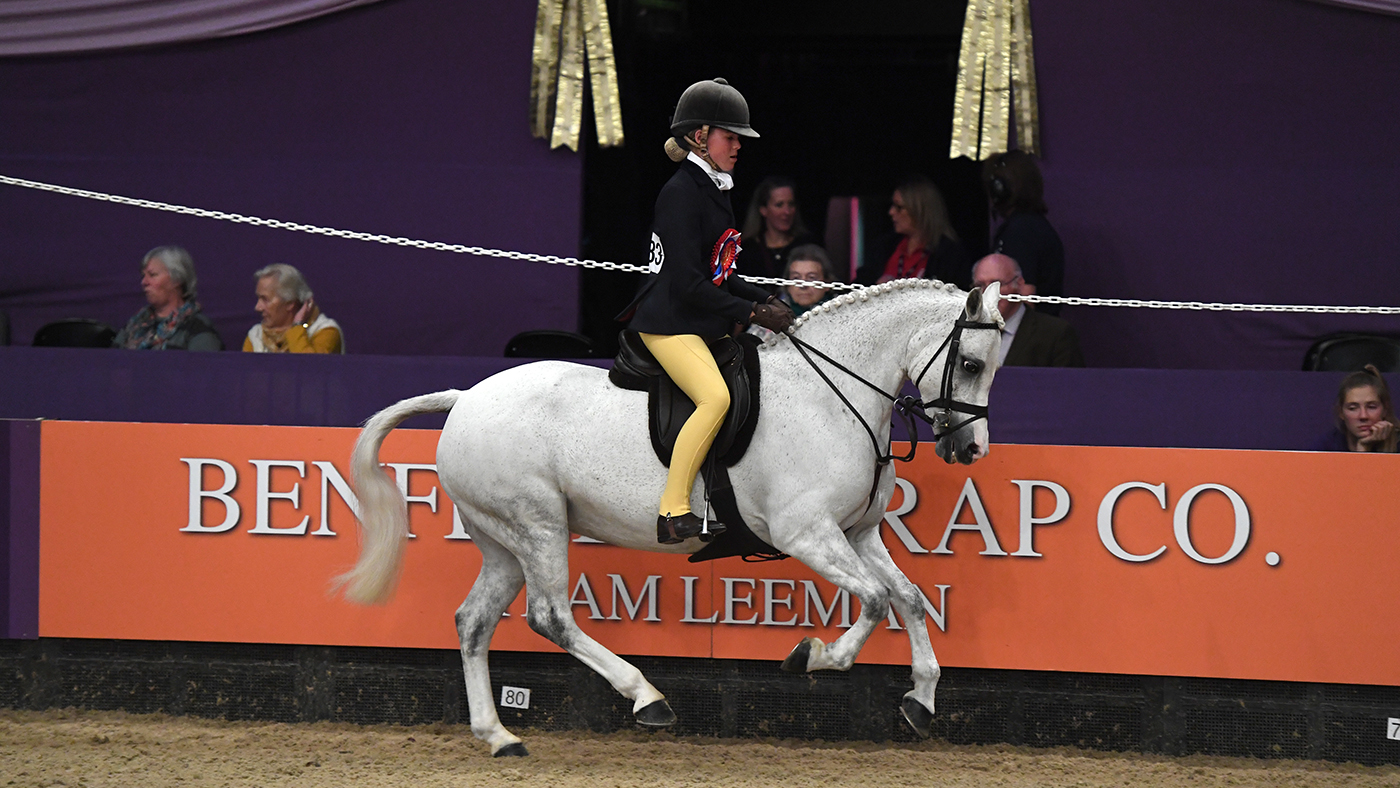 COCO-BONGO_HOYS_PN19_157644.jpg