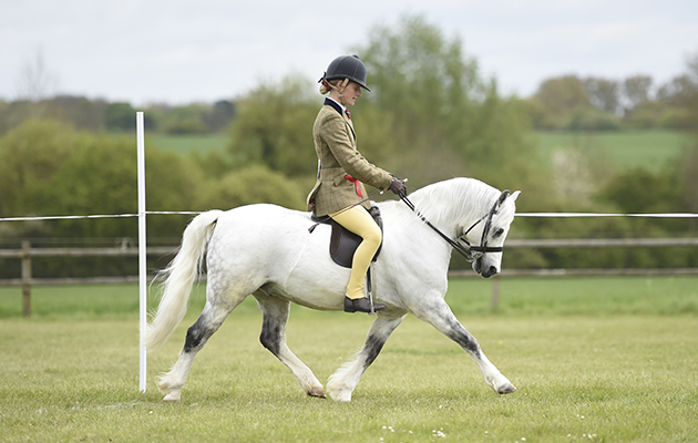 BSPS Area 15 show 22.04.2017