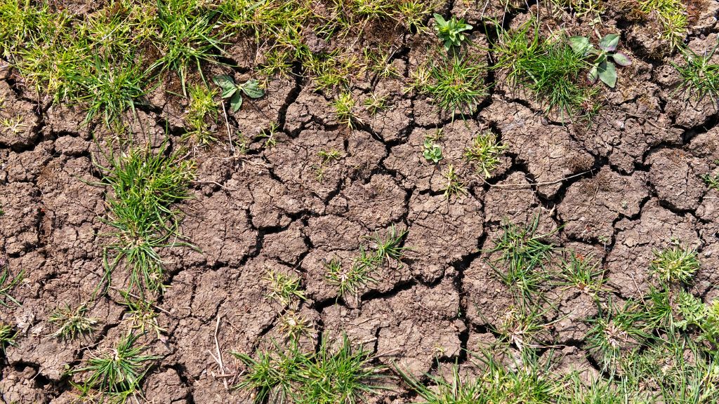 Dry cracked soil