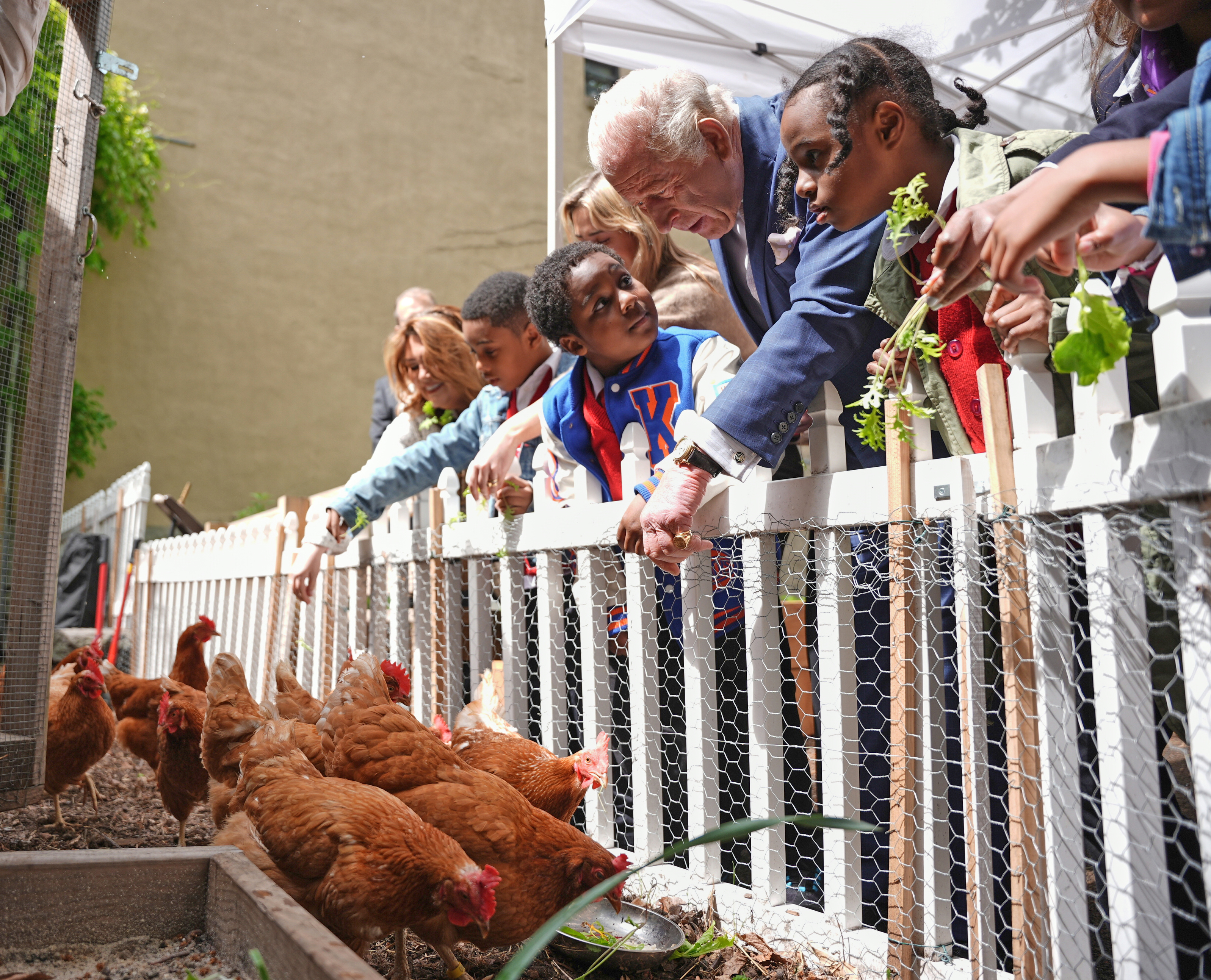 King Charles feeding chickens with kids