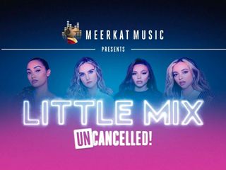 Little Mix Meerkat Music Hero
