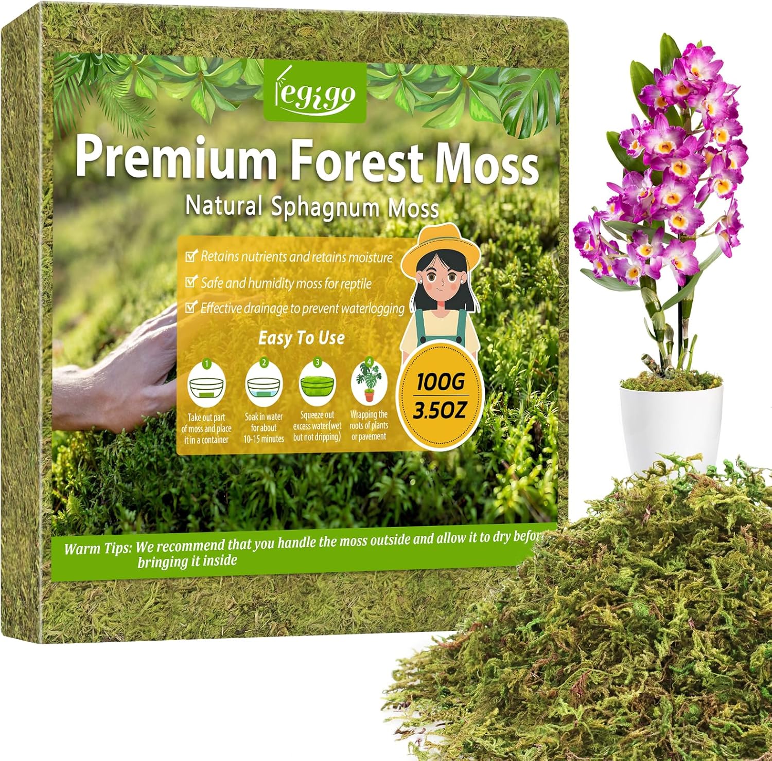 Legigo 3.5oz Premium Forest Moss for Plants, 4qt Natural Green Sphagnum Moss for Potted Plants, Dried Orchid Moss Potting Mix, Soft Real Moss Decorative for Houseplants Orchids Succulents Reptiles