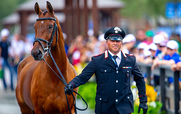 WEG eventing trot-up fashion