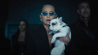 Sharon Stone holding a dog in Nobody 2