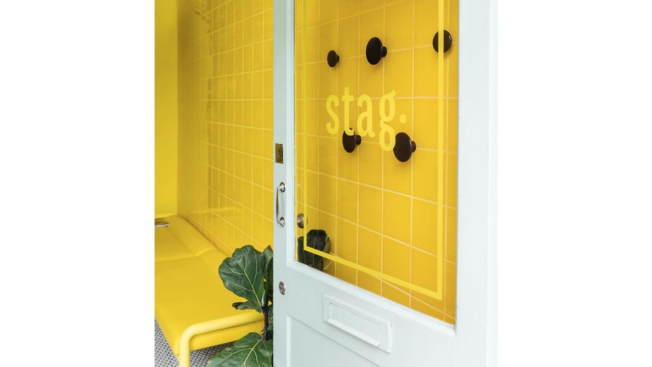 Stag Edinburgh salons