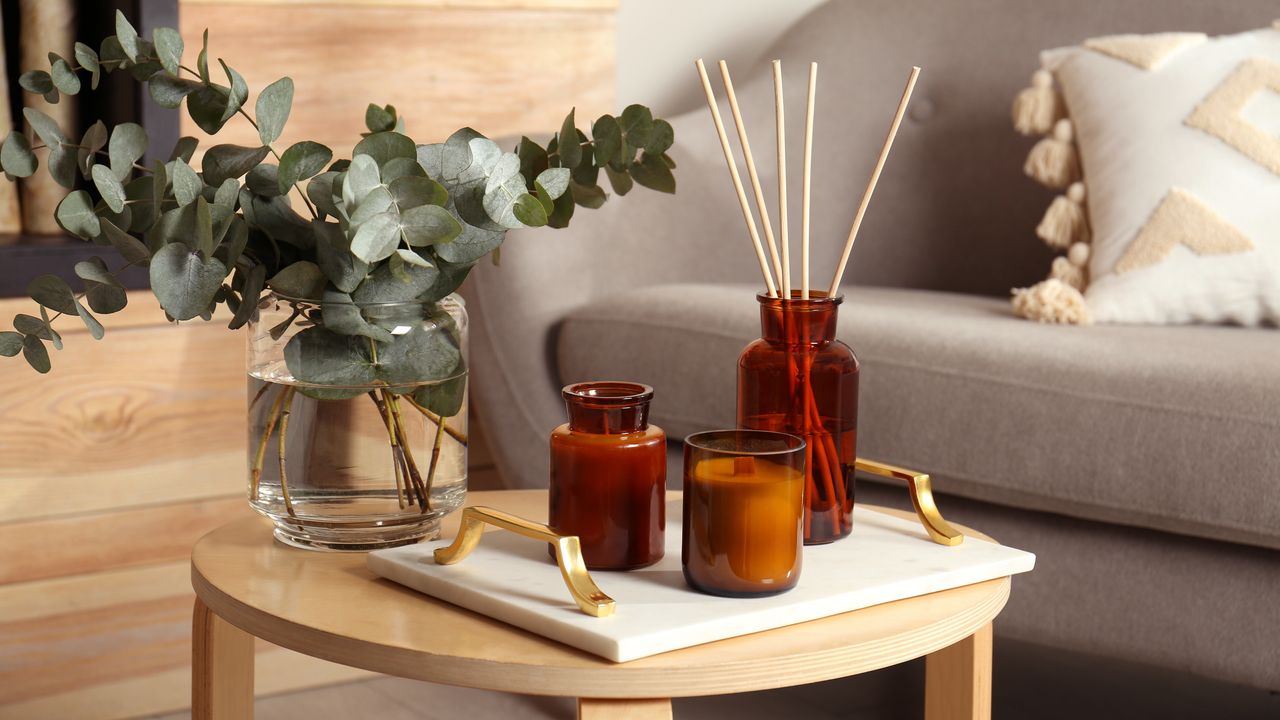 reed diffuser in living room