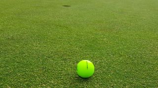 Zero Friction Spectra Golf Ball