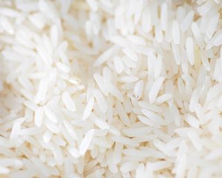 Close up of rice