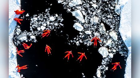 People floating in red suits in freezing water 