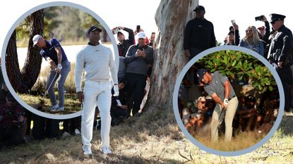 Tiger Woods, Justin Thomas and Bryson DeChambeau all hitting low punch shots from out of position in the trees