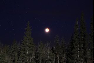 Lunar Eclipse Dec. 10 - Dan Stanyer