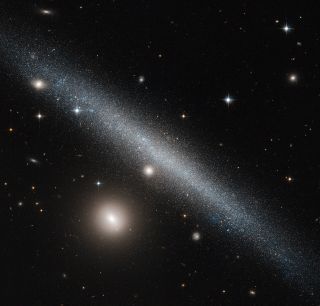 Warped Dwarf Galaxy UGC 1281