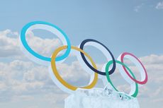 A symbol of the Olympic Games, created for the 2014 Winter Olympics in Sochi.