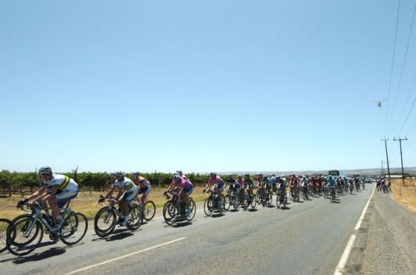 The peloton race flat out at the Santos Tour Down Under