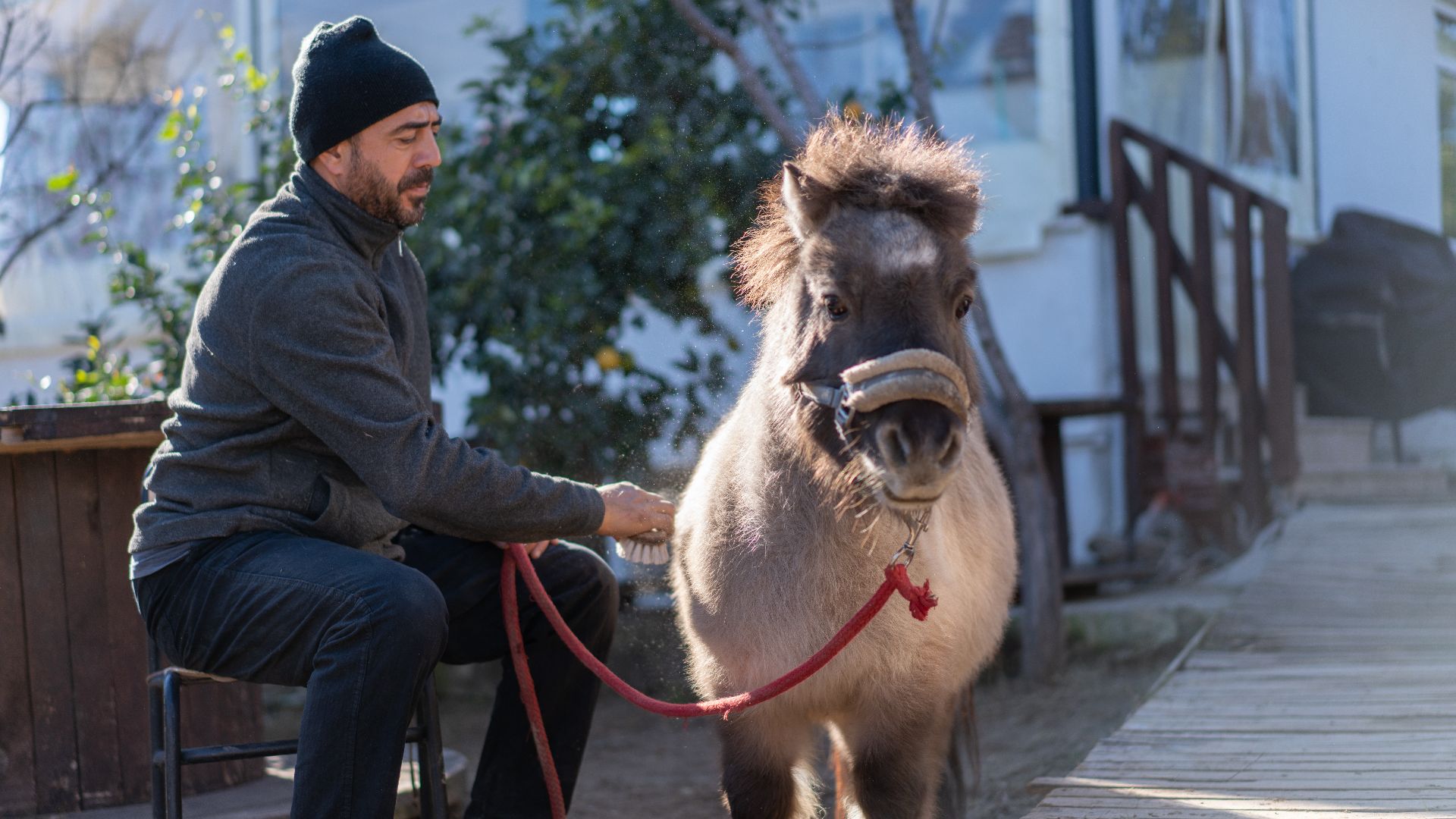 Man in a coat and beanie sat holding a fluffy Shetland pony on a headcollar and leadrope