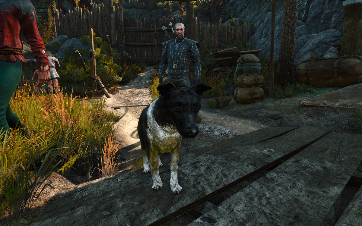 Henry Cavill's dog in the Witcher 3.